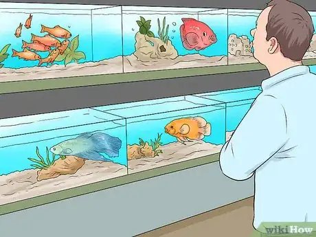 Image titled Make Aquarium Setups Stand Out Step 1