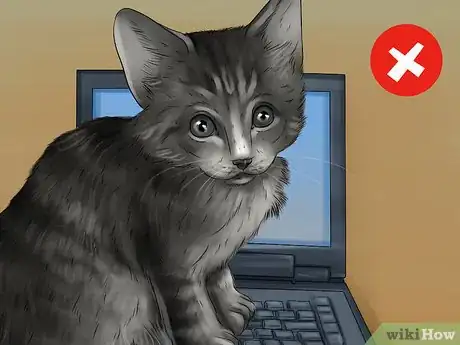 Image titled Cat Proof Your Computer Step 12