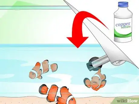 Image titled Tell if Your Fish Is Sick Step 18