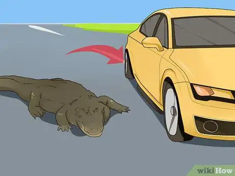 Image titled Avoid an Alligator Attack Step 5