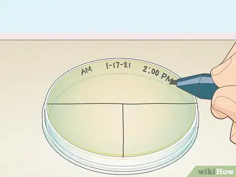 Image titled T‐Streak (Microbiology) Step 3