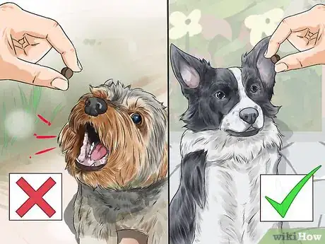 Image titled Teach Your Dog the Stop Barking Command Step 6