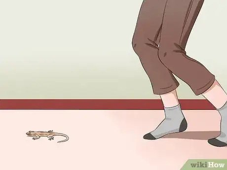 Image titled Catch a Lizard Without Using Your Hands Step 3