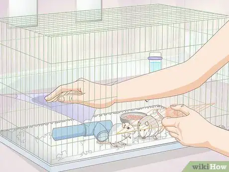 Image titled Set up a Pet Rat Cage Step 11