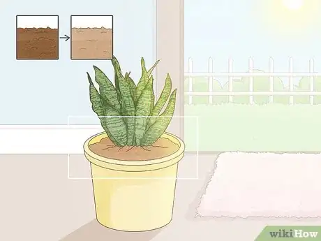 Image titled Get Rid of Mold on Houseplants Step 2