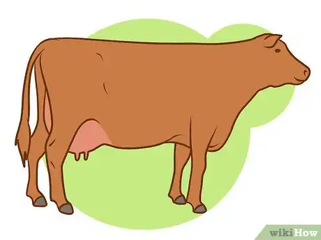 Image titled Judge Body Condition Scores in Cattle Step 5Bullet5