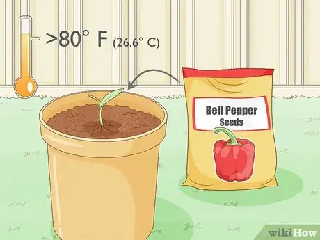 Image titled Grow Bell Peppers Step 4