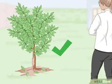 Image titled Germinate Tree Seeds Step 21