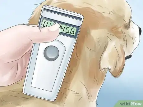 Image titled Inject a Microchip Into a Pet Step 2