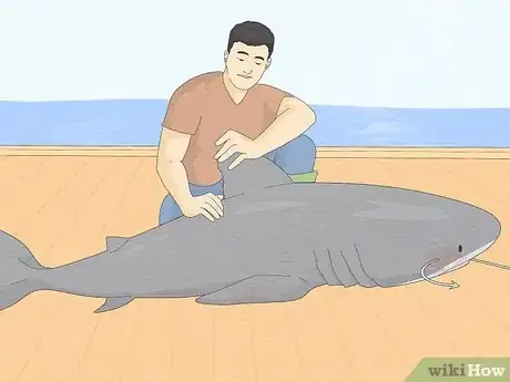 Image titled Get over Your Fear of Sharks Step 6