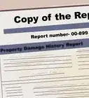 File a Police Report