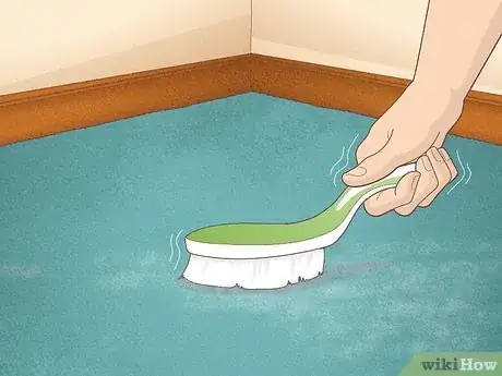 Image titled Clean a Carpet by Hand Step 1