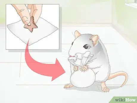 Image titled Play With Gerbils Step 13