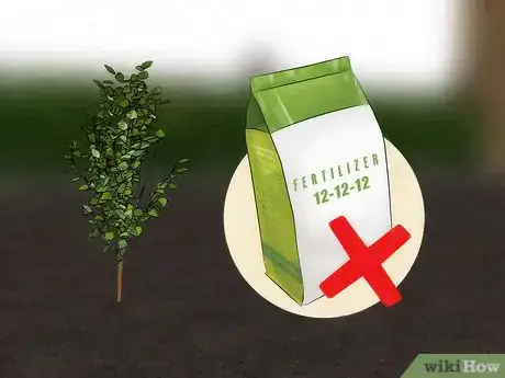 Image titled Fertilize Fruit Trees Step 9