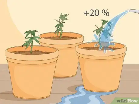 Image titled Clone Cannabis Step 13