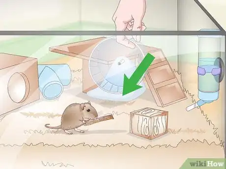 Image titled Set Up a Gerbil Cage Step 15