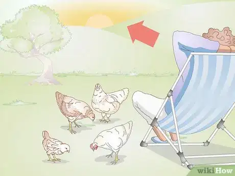 Image titled Get Your Hen to Become Broody Step 11