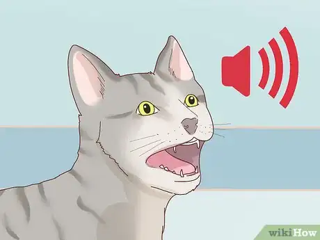 Image titled Tell if Your Cat Is Depressed Step 5