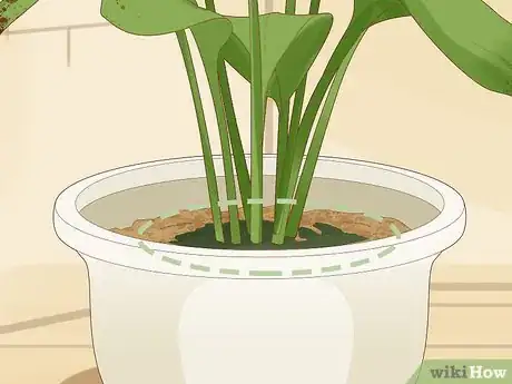 Image titled Save an Overwatered Plant Step 3