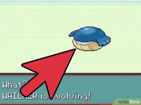 Image titled Get Wailord in Pokemon Emerald Step 8