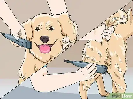 Image titled Shave Your Dog Step 10