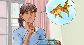 Overcome the Death of a Fish