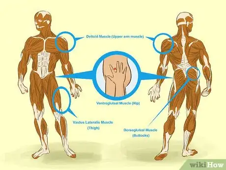 Image titled Give an Intramuscular Injection Step 11