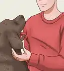 Scratch a Dog's Belly