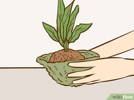 Image titled Make a Kokedama Step 7