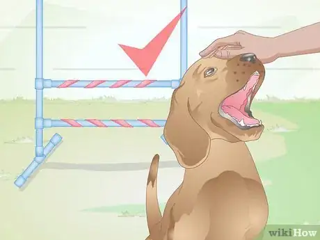 Image titled Build a Dog Agility Jump Step 15