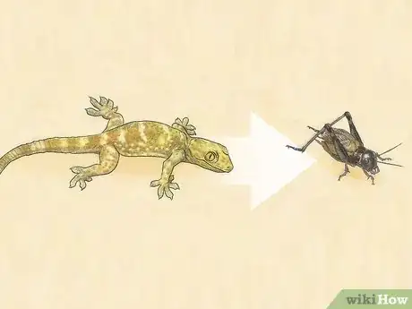 Image titled Get Rid of Crickets Step 9