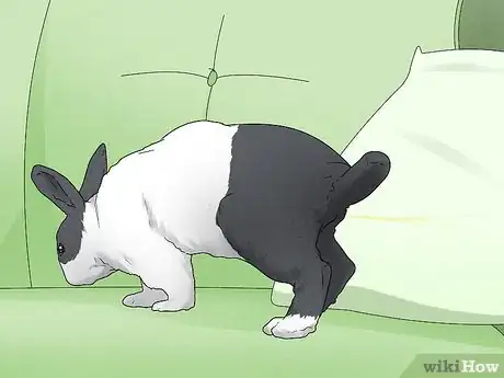 Image titled Stop a Rabbit's Biting Habit Step 10