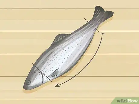 Image titled Clean a Fish Step 3