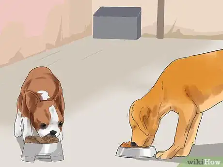 Image titled Get Your Two Dogs to Stop Fighting Step 15