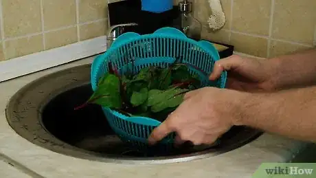 Image titled Preserve Swiss Chard Step 1