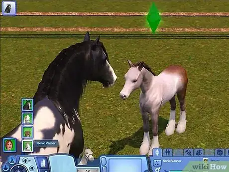 Image titled Breed Your Pets on the Sims 3 Pets (Pc) Step 13