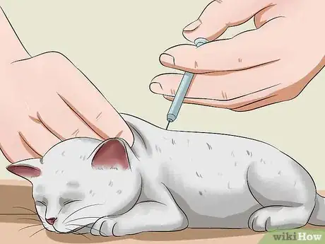 Image titled Raise a Kitten Step 15