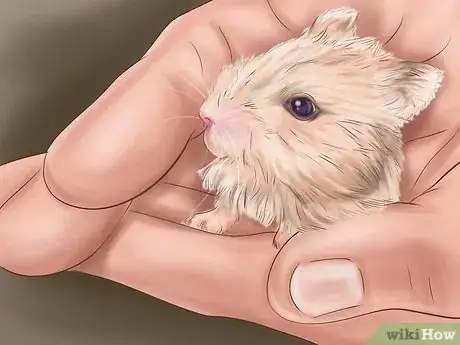 Image titled Play With a Hamster Step 4