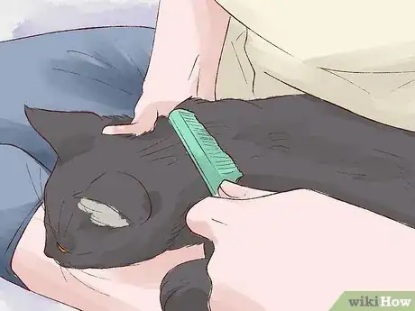 Image titled Stop a Cat from Licking Its Fur Off Step 6