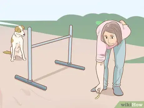 Image titled Teach Your Dog to Jump Step 15