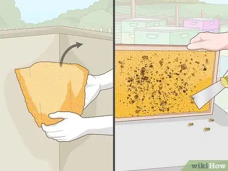 Image titled Remove Bees Step 12