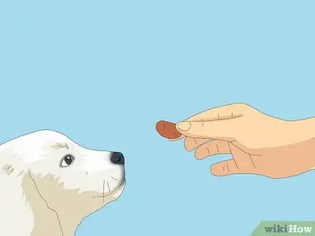 Image titled Get Your Puppy to Stop Biting Step 6