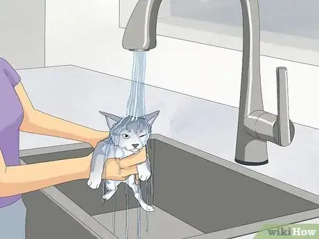 Image titled Give a Kitten a Bath Step 14