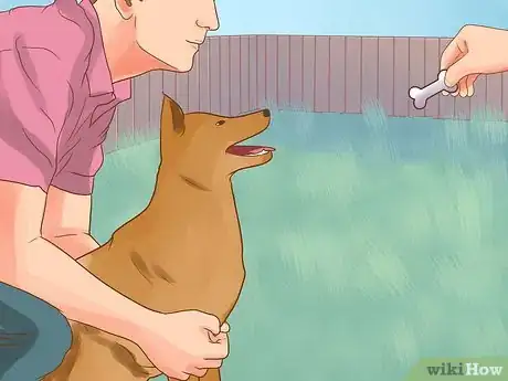 Image titled Stop Aggressive Behavior in Dogs Step 6