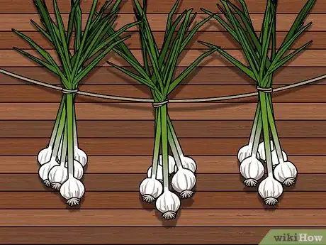 Image titled Braid Garlic Step 10