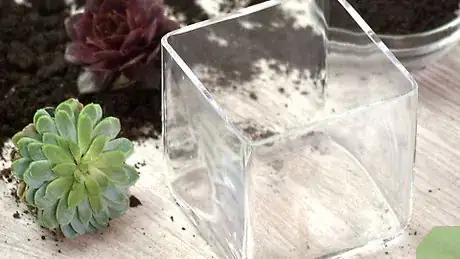 Image titled Make a Terrarium Step 3