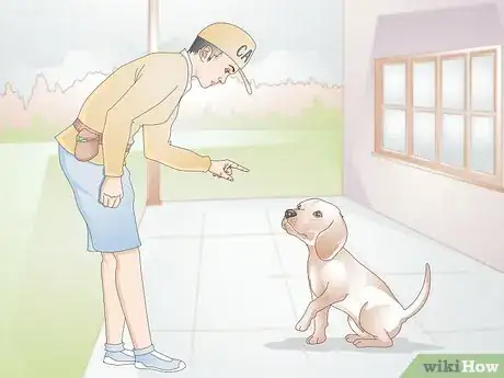 Image titled Stop a Dog from Licking Everything Step 14