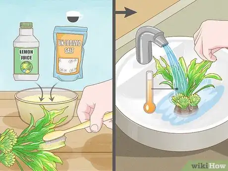 Image titled Clean Fake Plants Step 13