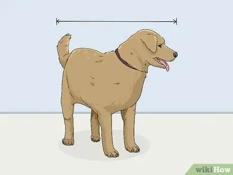 Image titled Measure a Dog for a Crate Step 2