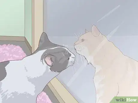 Image titled Introduce a New Cat to Other Cats Step 5